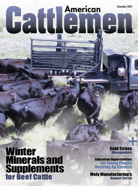 American Cattlemen Magazine