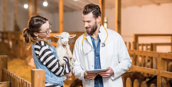 Vaccinating Goats Enterotexemia Tetanus