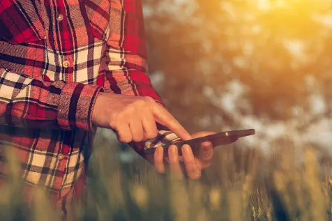 Person on their phone outside at sunset, photo of hands and phone