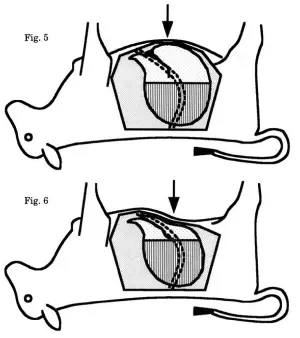 Smith figure inverted