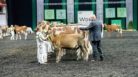 Nominate Dairy Expo Awards