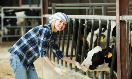 Agriculture students! Apply for the Lon and Kathy Tonneson Scholarship
