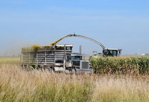 Harvesting