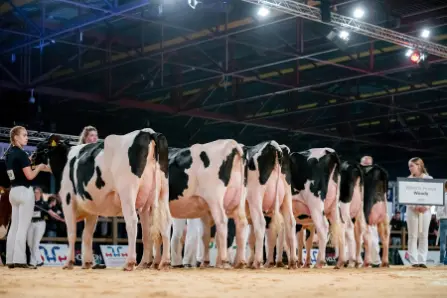 CRV Bulls Reaffirms Confidence of Farmers