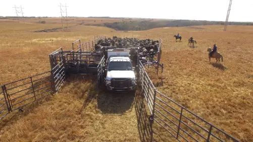 Rawhide Portable Corrals Improvements