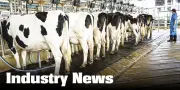 Industry News
