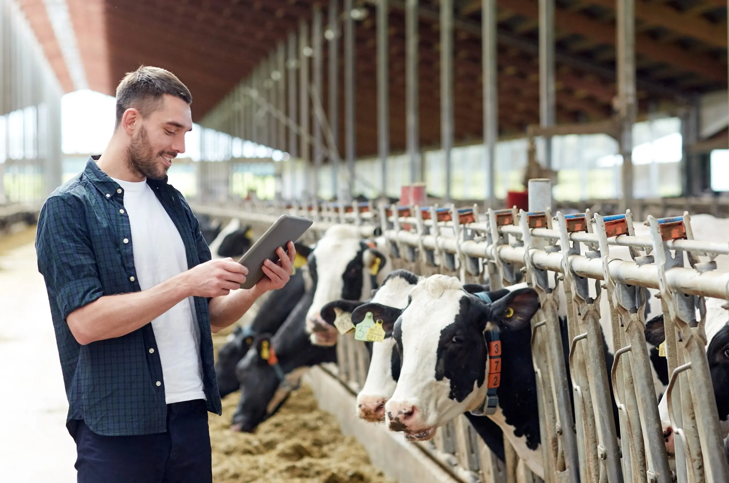 Safeguarding Data Dairy