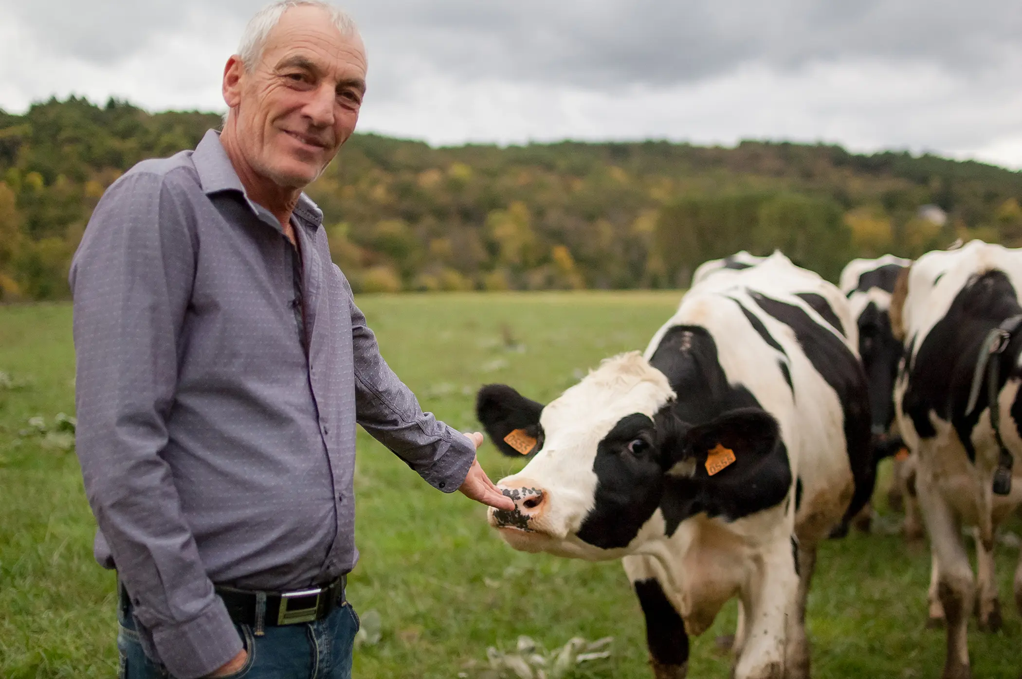 CLAAS Asks Dairy Farmers