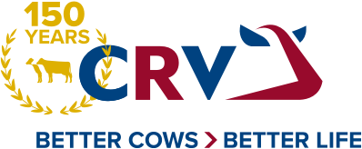 CRV Bulls High Returns