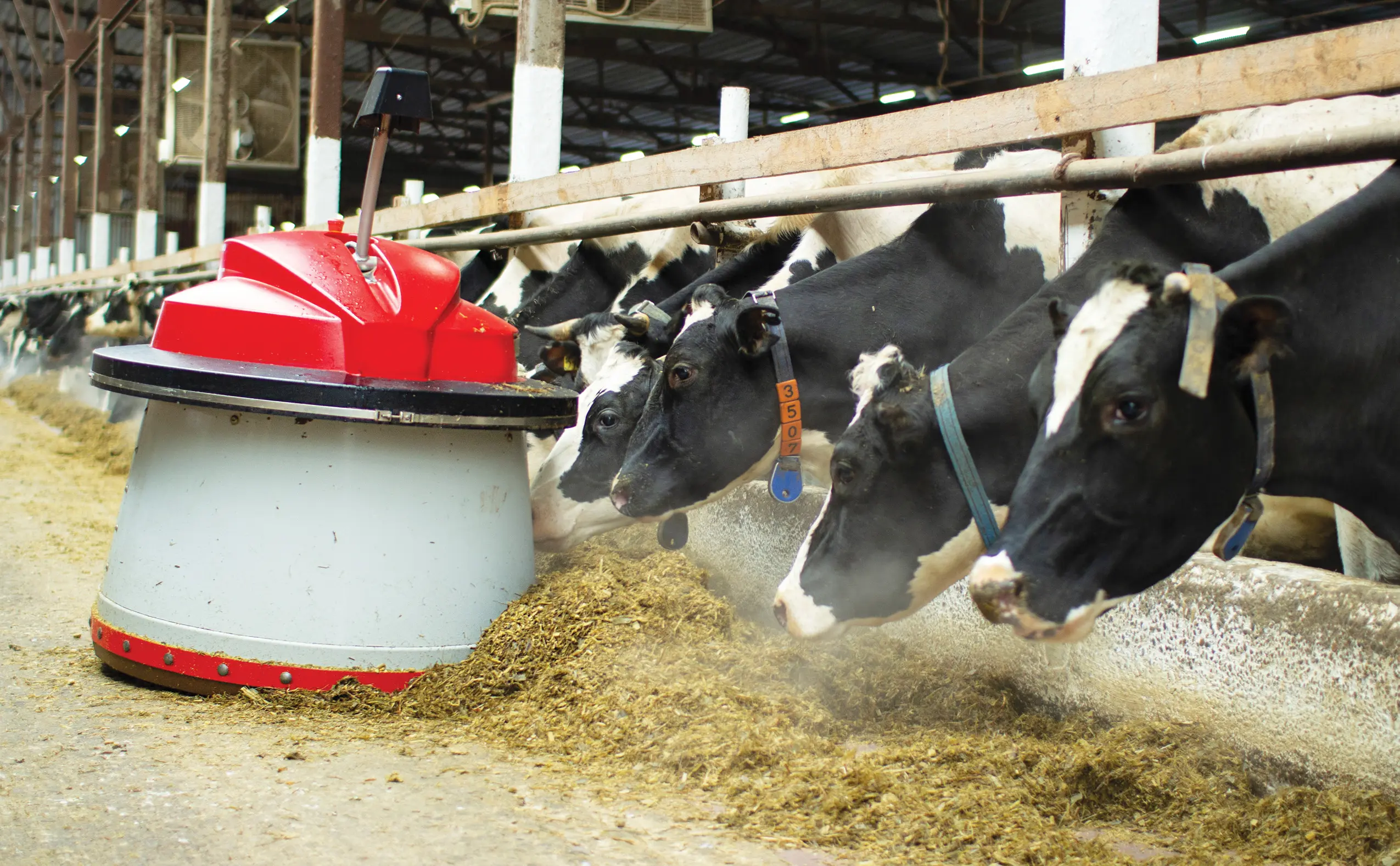 Latest Dairy Research and Technology