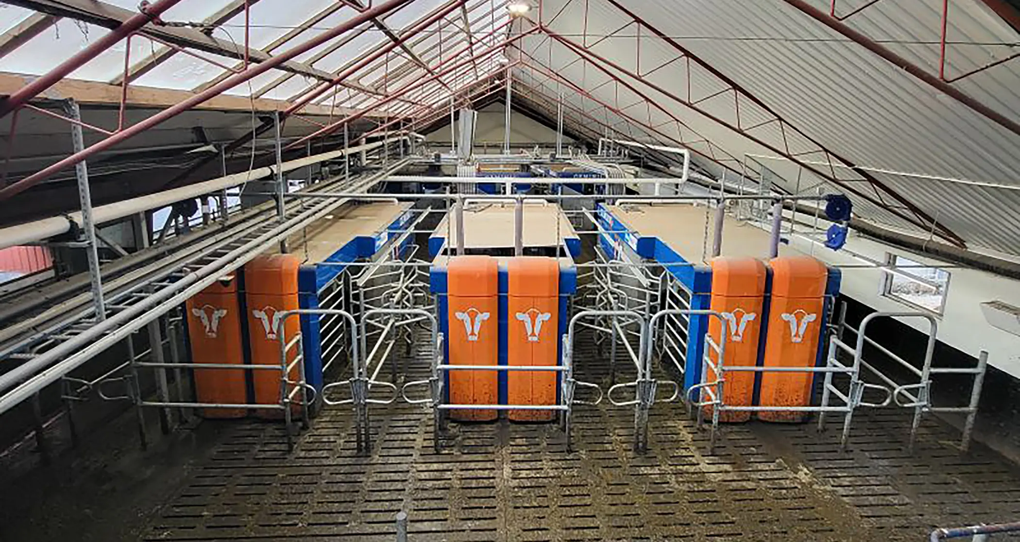 BouMatic Maximizes Herd Milking