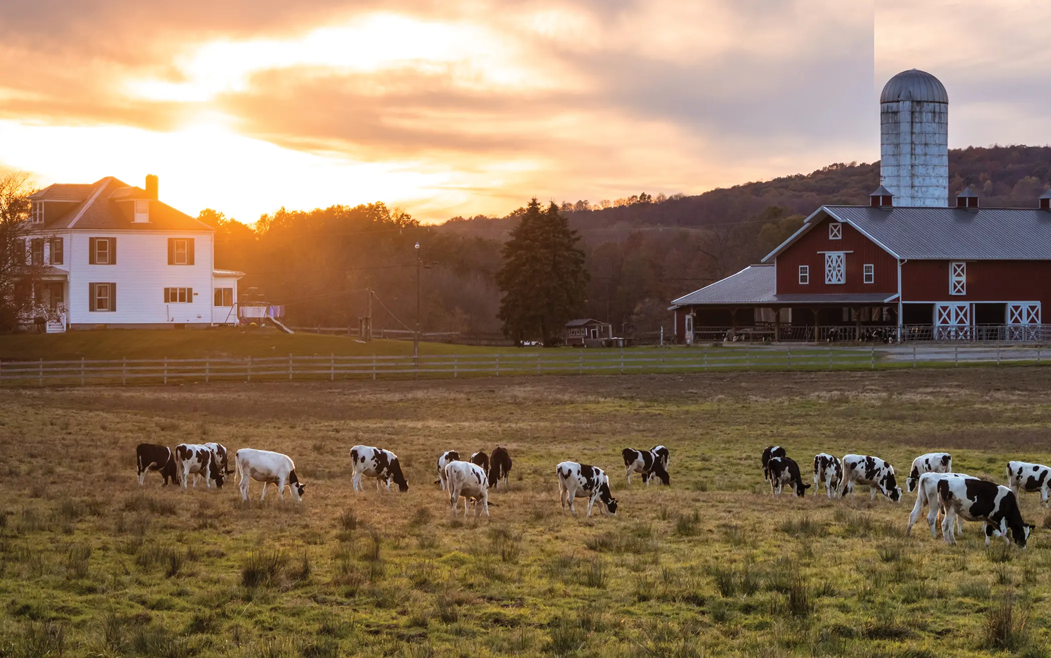 Overgrazing Pastures Management