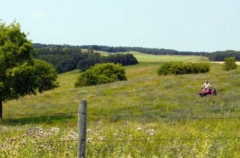 Establishing Productive Pastures