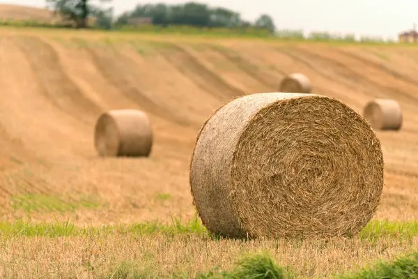 Delmhorst Hay Moisture Testers