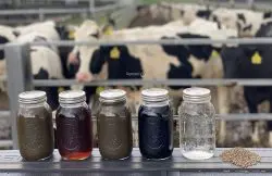Mott Co Enters $40 Million Agreement with U.S Dairy Farm