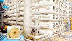 Mott Co Enters $40 Million Agreement with U.S Dairy Farm