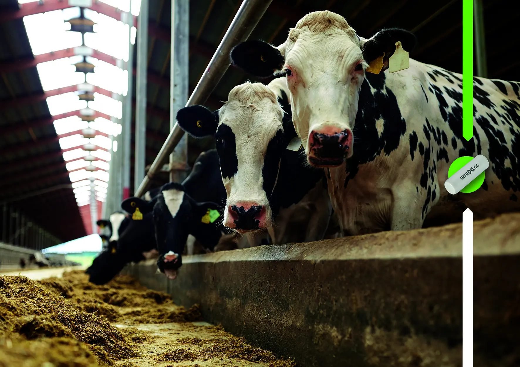 SmaXtec Bolus Detects Bird Flu