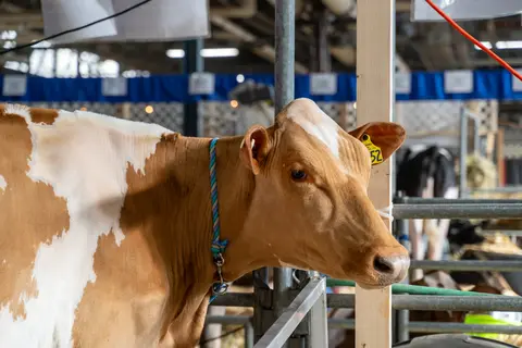 Virtual Farm Tours Highlight Technology and Innovation at World Dairy Expo