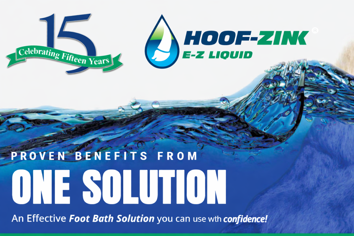 Dairy Hoof Health Solution