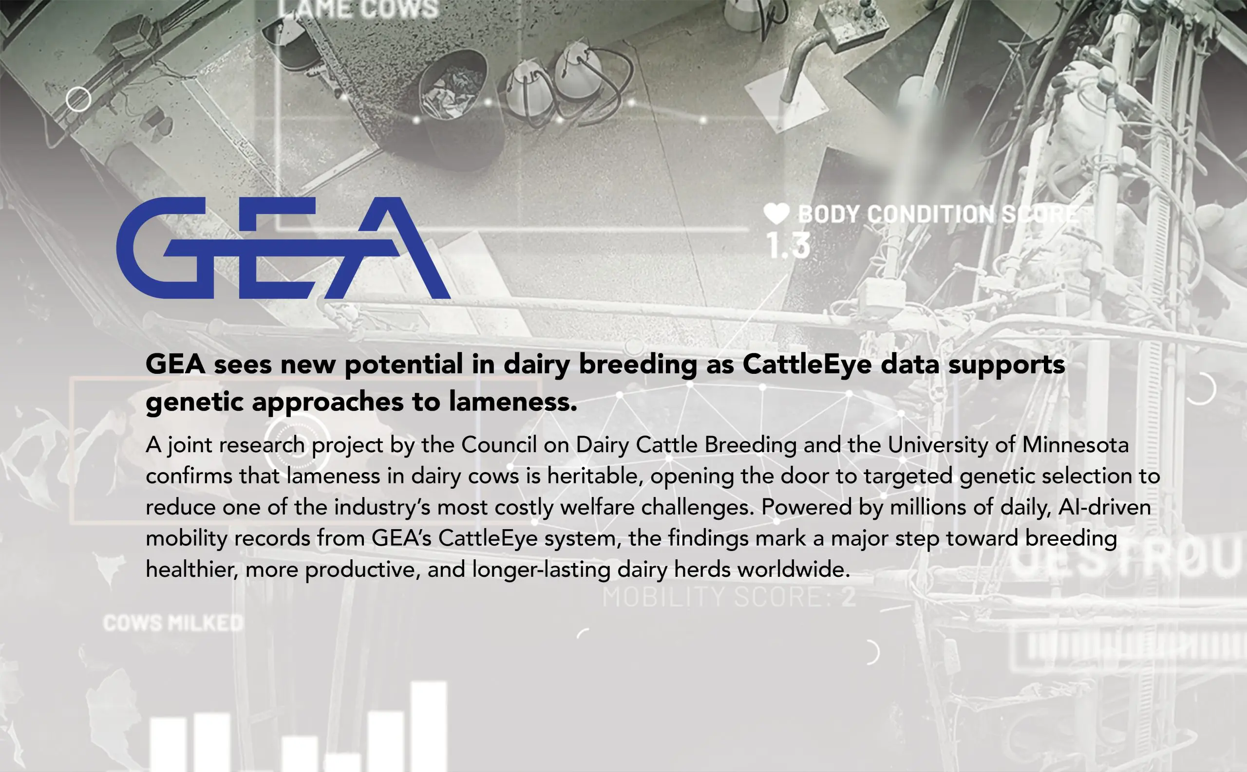 Genetic Lameness Prevention Dairy