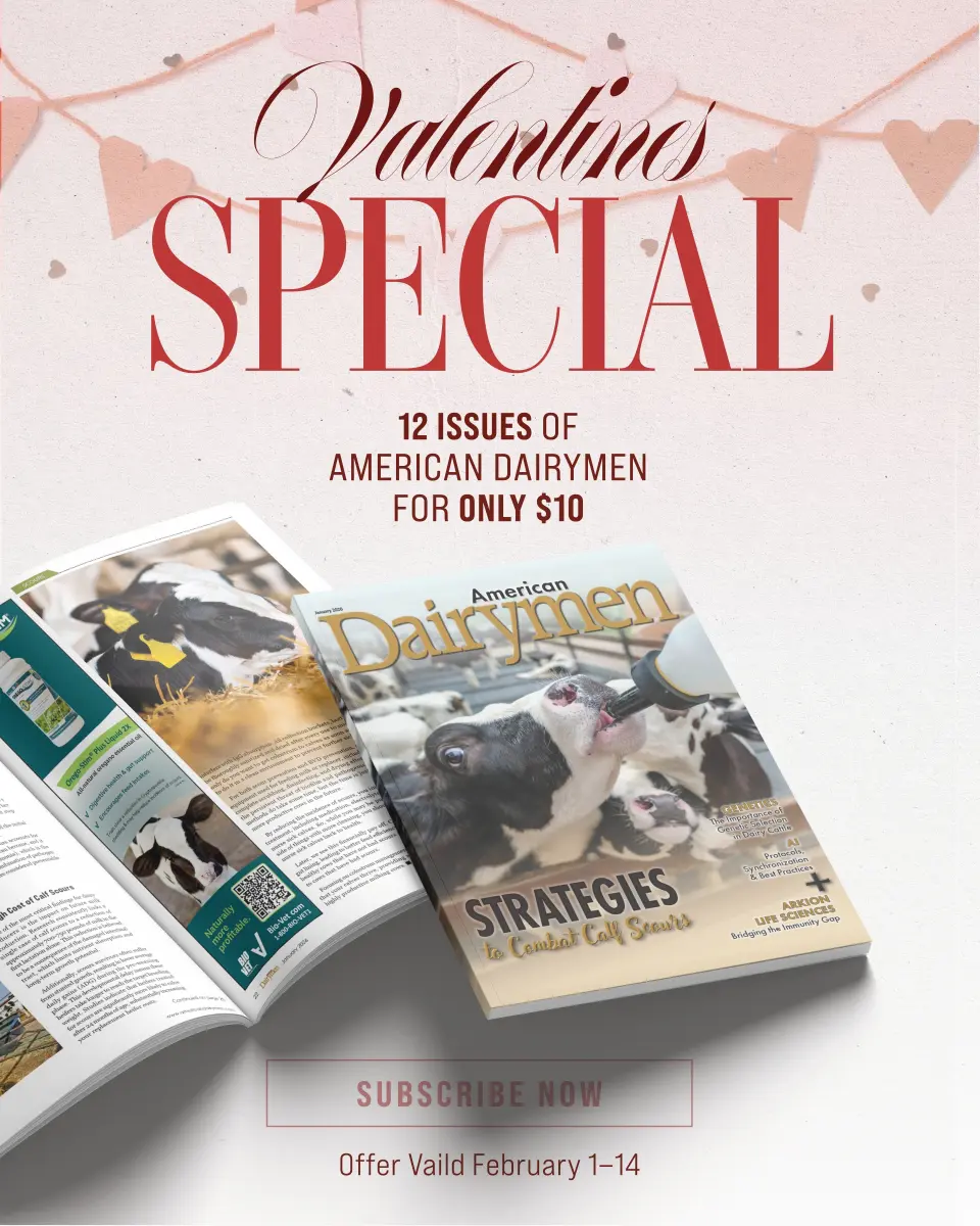 Valentine’s Subscription Special