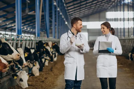 Genomics in Dairy Cattle