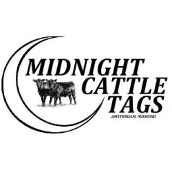 Midnight Cattle