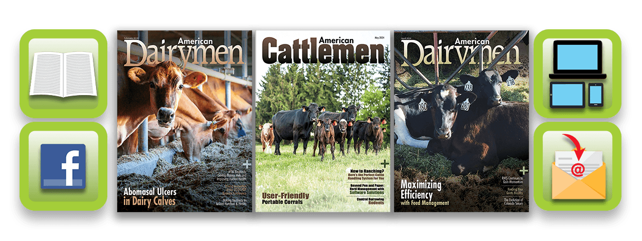 Green American Dairymen About Image