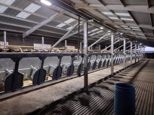 Cattle parlor system