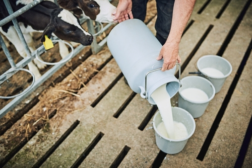 Diversify Dairy Operations for more revenue