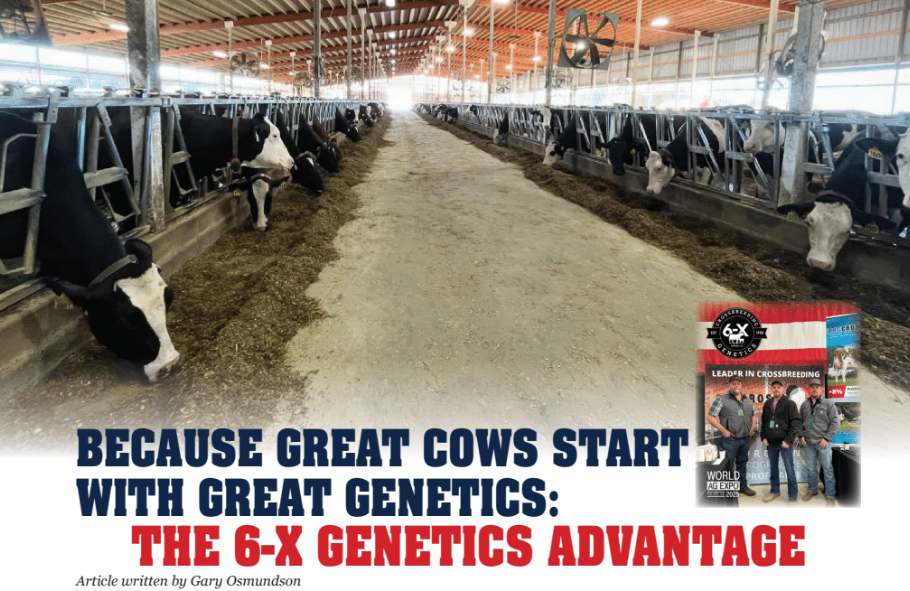 6-X Genetics Dairy Breeds