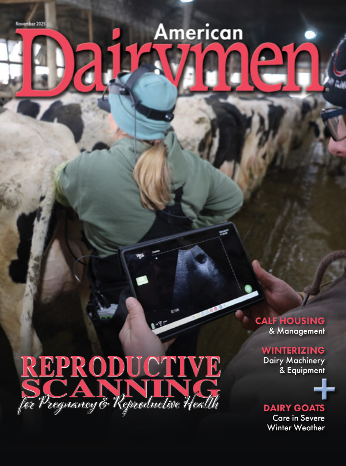 American Dairymen November 2025