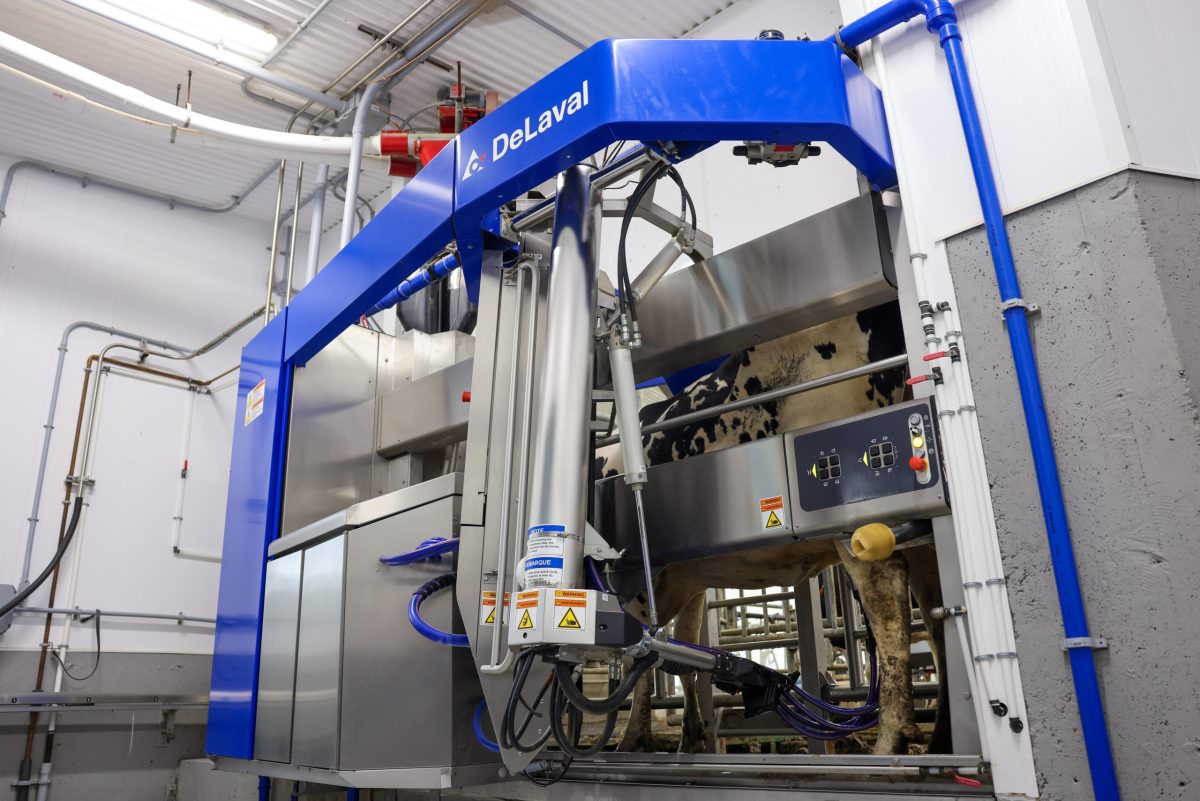 Robotic Benefits in Dairies