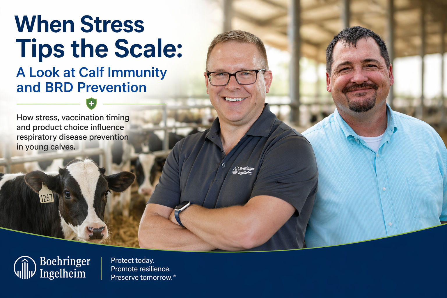 BRD Prevention in Calves