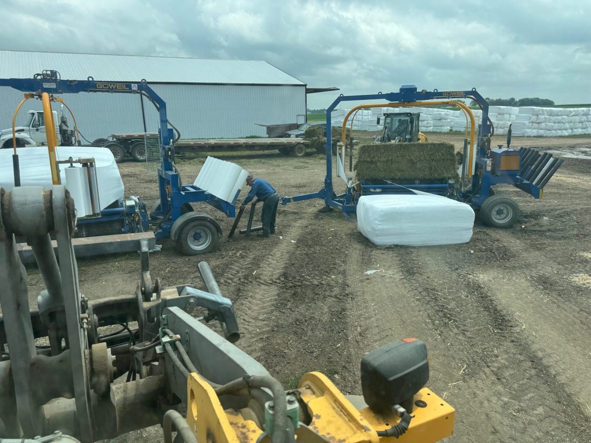 Tips for Silage and Haylage