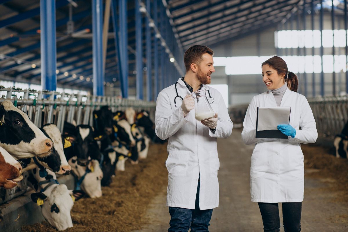 Genomics in Dairy Cattle