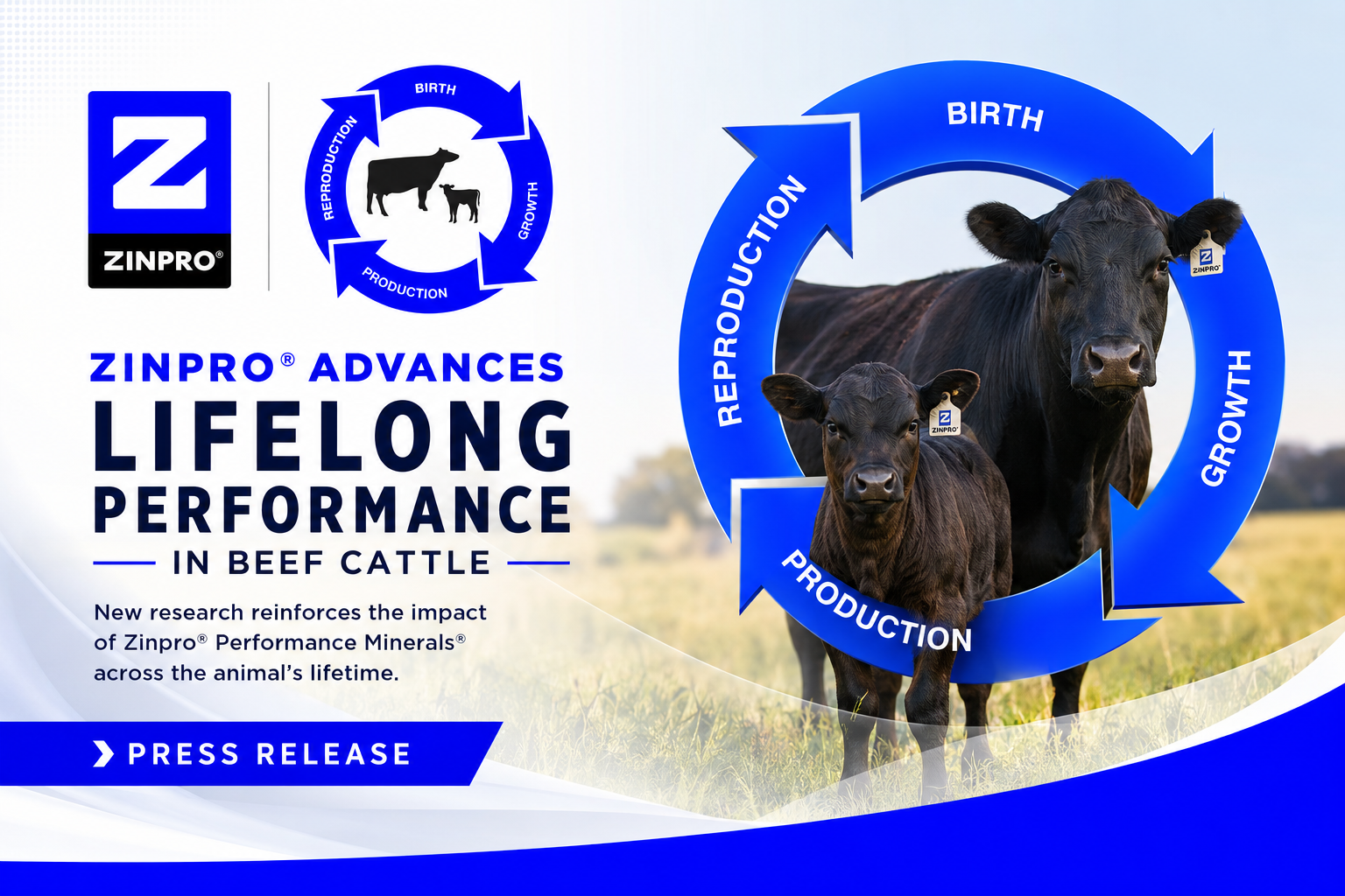 Zinpro Rumen Efficiency